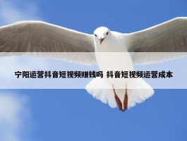 宁阳运营抖音短视频赚钱吗 抖音短视频运营成本