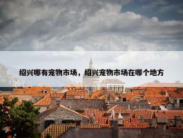 绍兴哪有宠物市场，绍兴宠物市场在哪个地方