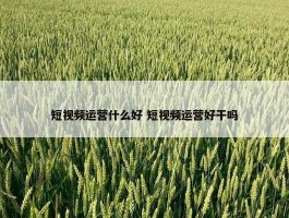 短视频运营什么好 短视频运营好干吗