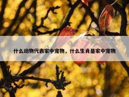 什么动物代表家中宠物，什么生肖是家中宠物