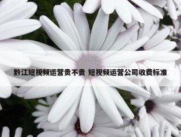 黔江短视频运营贵不贵 短视频运营公司收费标准