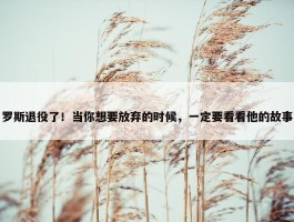 罗斯退役了！当你想要放弃的时候，一定要看看他的故事