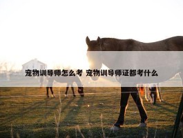 宠物训导师怎么考 宠物训导师证都考什么