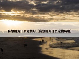 妄想山海什么宠物好（妄想山海什么宠物厉害）