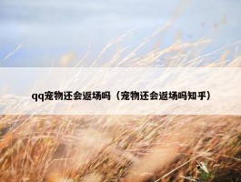 qq宠物还会返场吗（宠物还会返场吗知乎）