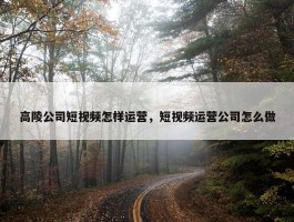 高陵公司短视频怎样运营，短视频运营公司怎么做