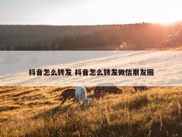 抖音怎么转发 抖音怎么转发微信朋友圈