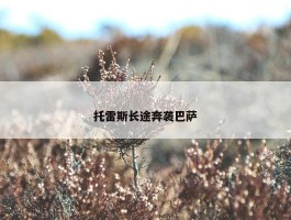 托雷斯长途奔袭巴萨