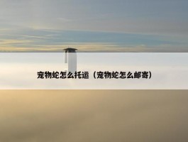 宠物蛇怎么托运（宠物蛇怎么邮寄）