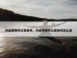 问道宠物可以变色吗，问道宠物可以变色吗怎么变