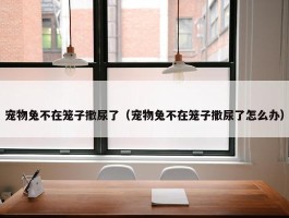 宠物兔不在笼子撒尿了（宠物兔不在笼子撒尿了怎么办）