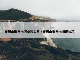 妄想山海宠物摄魂怎么用（妄想山海宠物捕捉技巧）