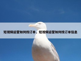 短视频运营如何找订单，短视频运营如何找订单信息