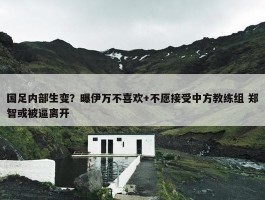 国足内部生变？曝伊万不喜欢+不愿接受中方教练组 郑智或被逼离开