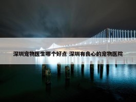 深圳宠物医生哪个好点 深圳有良心的宠物医院