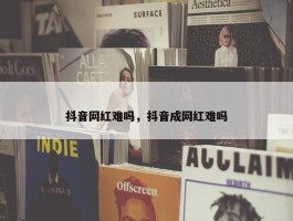 抖音网红难吗，抖音成网红难吗