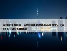 英特尔压力山大！AMD游戏处理器新品大爆发，Ryzen 5 9600X3D曝光