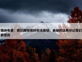 格纳布里：我们踢得很好但没赢球；丢掉的这两分让我们很受伤