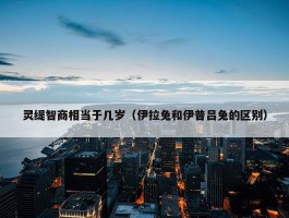 灵缇智商相当于几岁（伊拉兔和伊普吕兔的区别）