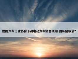 德国汽车工业协会下调电动汽车销售预期 因补贴取消？