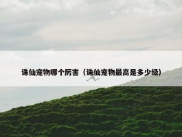 诛仙宠物哪个厉害（诛仙宠物最高是多少级）