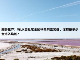 魔兽世界：WLK奥杜尔金团榜单前五装备，你都是多少金币入坑的？