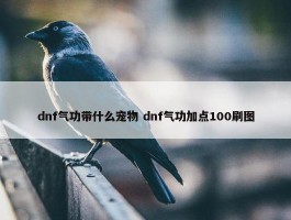 dnf气功带什么宠物 dnf气功加点100刷图