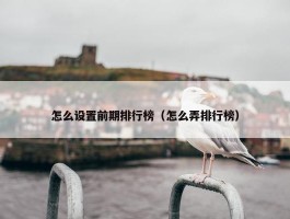 怎么设置前期排行榜（怎么弄排行榜）