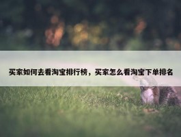 买家如何去看淘宝排行榜，买家怎么看淘宝下单排名