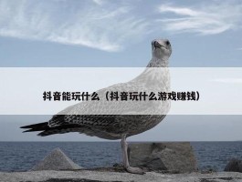 抖音能玩什么（抖音玩什么游戏赚钱）