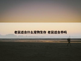 老鼠适合什么宠物生存 老鼠适合养吗