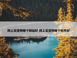 网上买宠物哪个网站好 网上买宠物哪个软件好