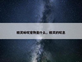 精灵咏叹宠物是什么，精灵的叹息