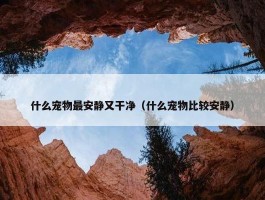 什么宠物最安静又干净（什么宠物比较安静）