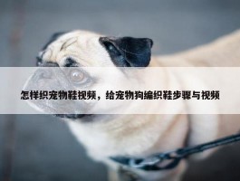 怎样织宠物鞋视频，给宠物狗编织鞋步骤与视频