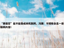 “黑悟空”能不能做成单机联网，冯骥：不排除会出一些联网内容！