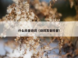 什么抖音动词（动词发音抖音）