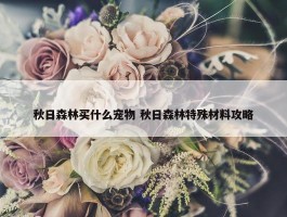 秋日森林买什么宠物 秋日森林特殊材料攻略