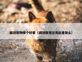 藏剑宠物哪个好看（藏剑跟宠任务能重做么）