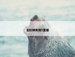 全红婵央视5直播