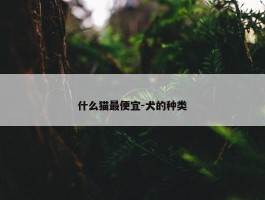 什么猫最便宜-犬的种类