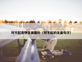 对不起宠物文案图片（对不起的文案句子）