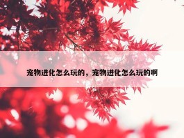 宠物进化怎么玩的，宠物进化怎么玩的啊