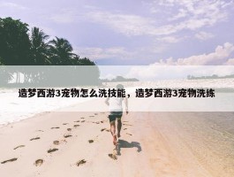 造梦西游3宠物怎么洗技能，造梦西游3宠物洗练