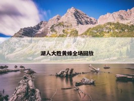 湖人大胜黄蜂全场回放