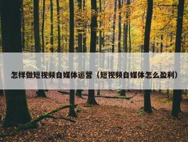 怎样做短视频自媒体运营（短视频自媒体怎么盈利）