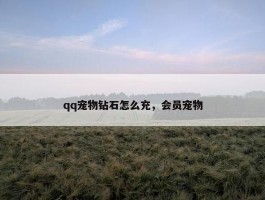 qq宠物钻石怎么充，会员宠物