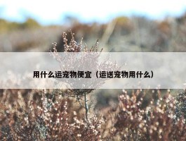 用什么运宠物便宜（运送宠物用什么）