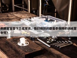 鹈鹕官宣签下三名球员，他们得到的都是非保障的训练营合同？