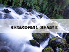 宠物高免疫因子是什么（宠物免疫系统）